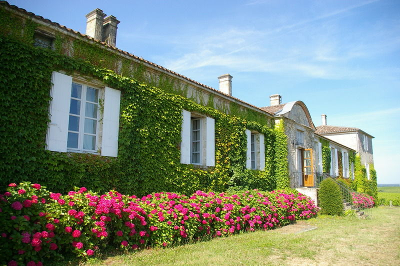 Chateau D'Arche, Grand Cru Classe De Сотерн Екстериор снимка